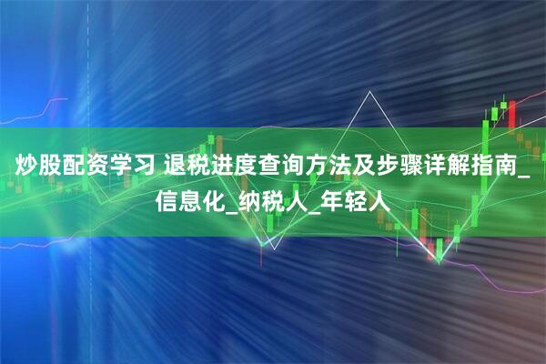 炒股配资学习 退税进度查询方法及步骤详解指南_信息化_纳税人_年轻人