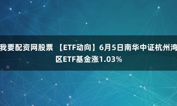 我要配资网股票 【ETF动向】6月5日南华中证杭州湾区ETF基金涨1.03%