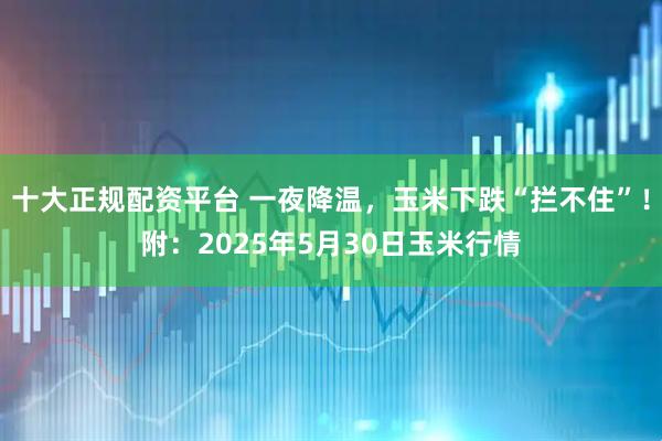十大正规配资平台 一夜降温，玉米下跌“拦不住”！附：2025年5月30日玉米行情