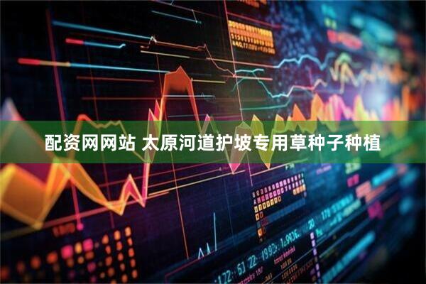 配资网网站 太原河道护坡专用草种子种植