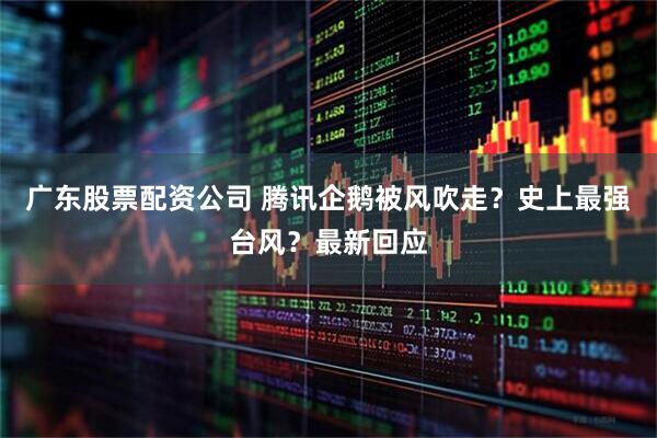广东股票配资公司 腾讯企鹅被风吹走?史上最强台风?最新回应